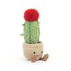 Cactus lunaire Amuseable