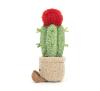 Cactus lunaire Amuseable