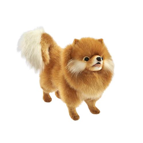 Chien Chow-chow 40cm